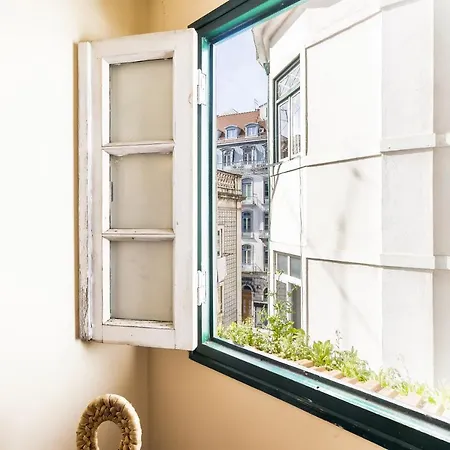 Apartment Budget Down Town